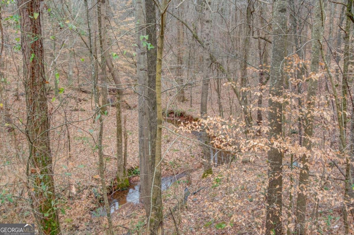 2648 Stockbridge Way Dacula - Photo 58