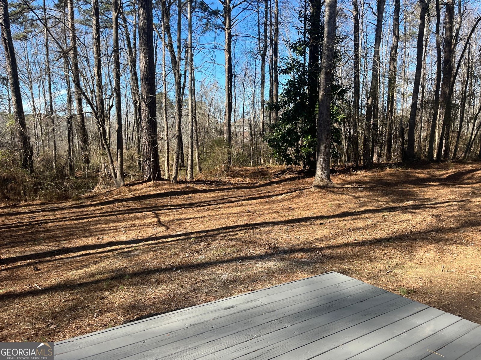 8869 Habersham Drive Jonesboro - Photo 33