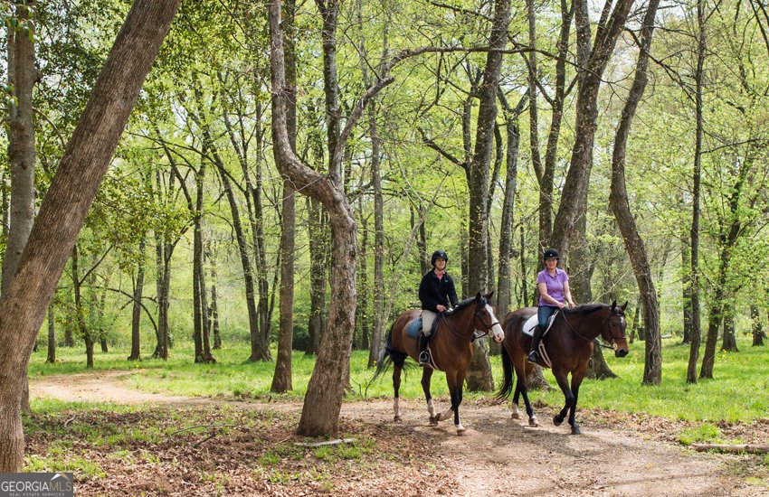 1081 Apalachee Ridge Madison - Photo 100