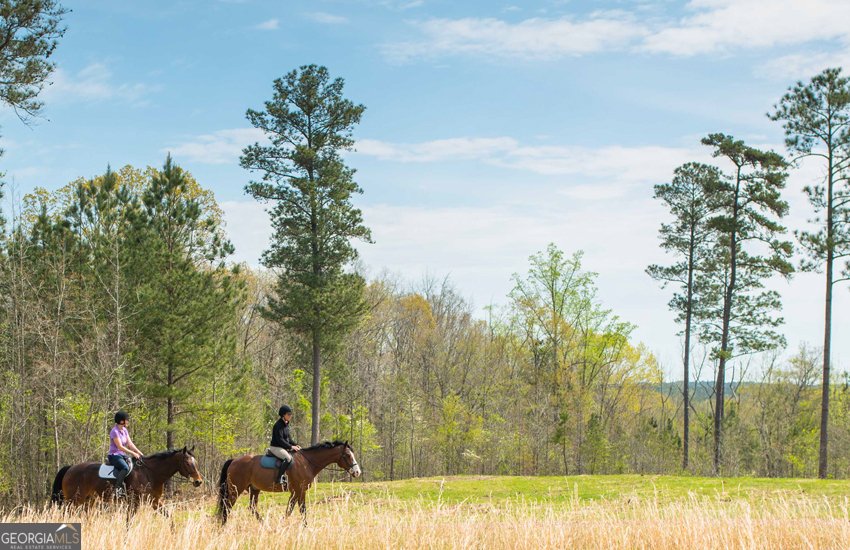 1081 Apalachee Ridge Madison - Photo 101