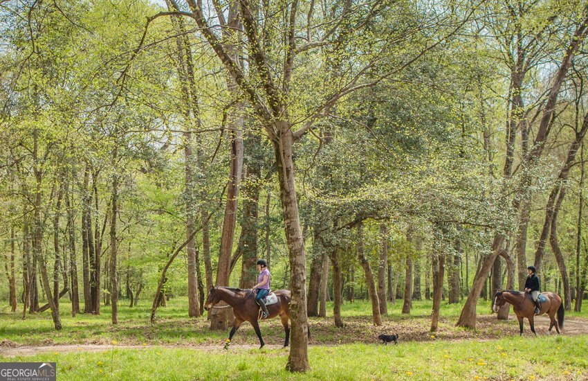 1081 Apalachee Ridge Madison - Photo 102