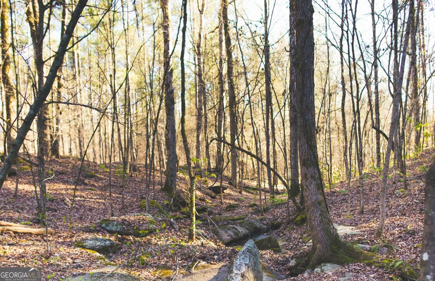 1081 Apalachee Ridge Madison - Photo 105