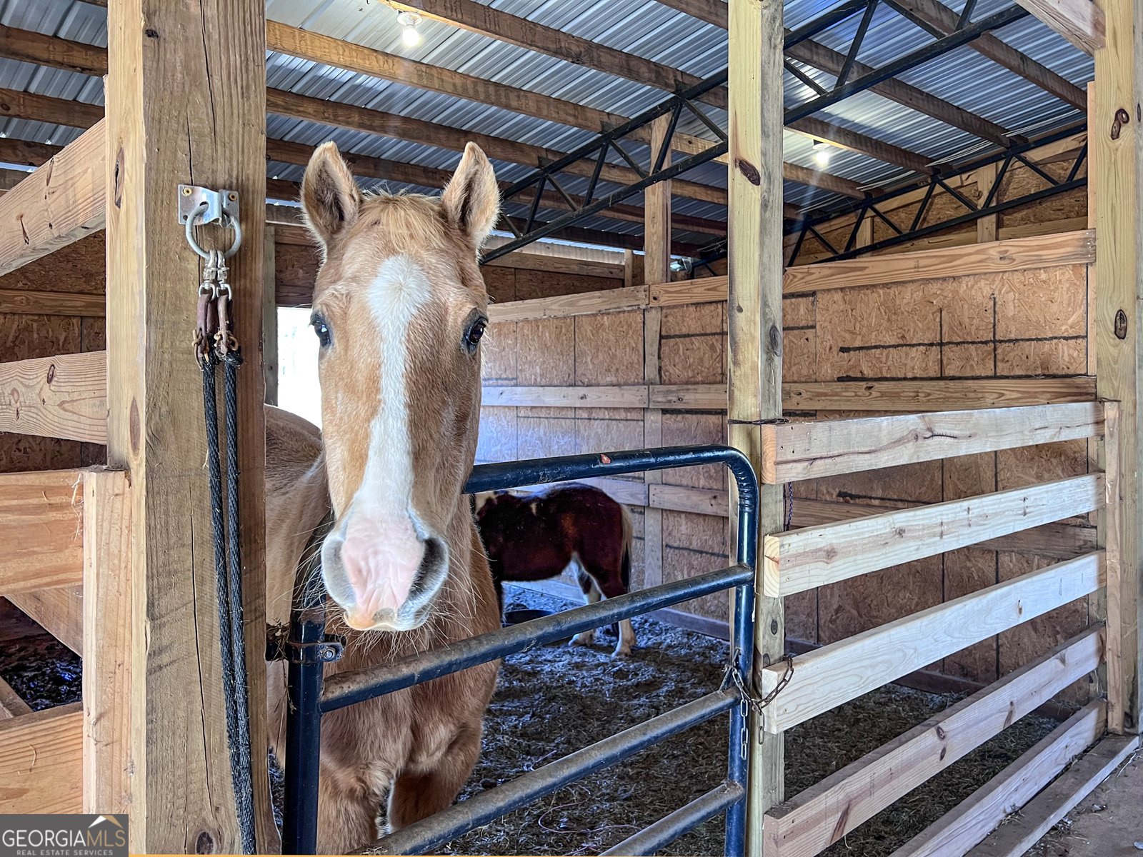 1081 Apalachee Ridge Madison - Photo 78