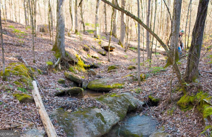 1081 Apalachee Ridge Madison - Photo 95