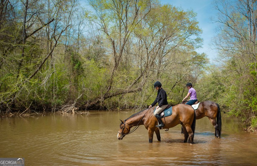 1081 Apalachee Ridge Madison - Photo 97