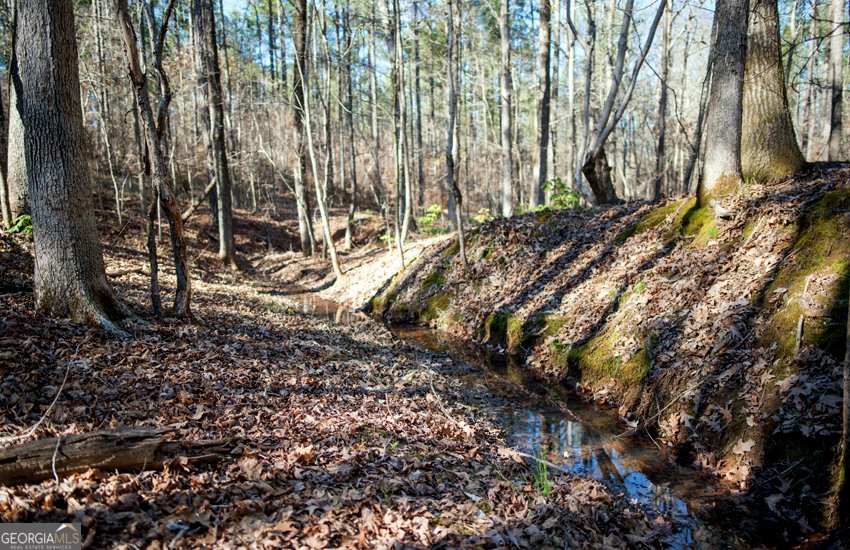 1081 Apalachee Ridge Madison - Photo 98