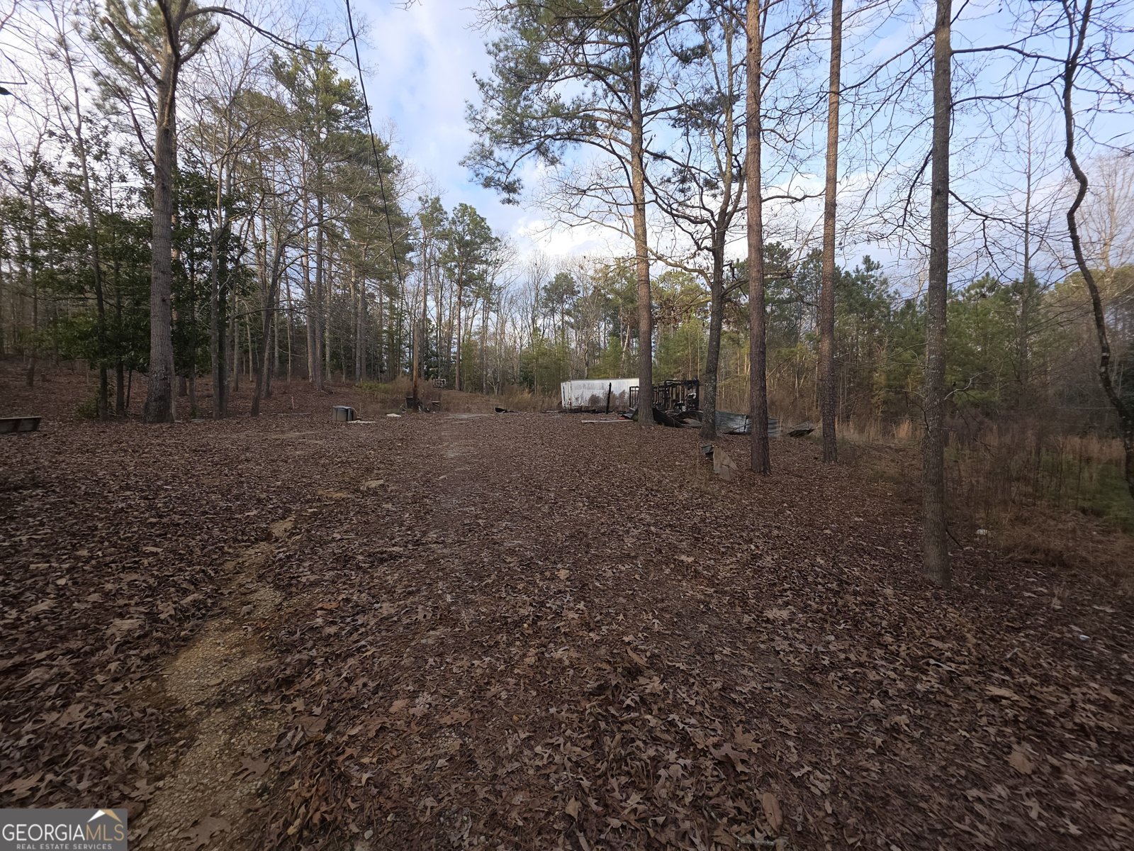 484 Riverside Road Tallapoosa - Photo 6