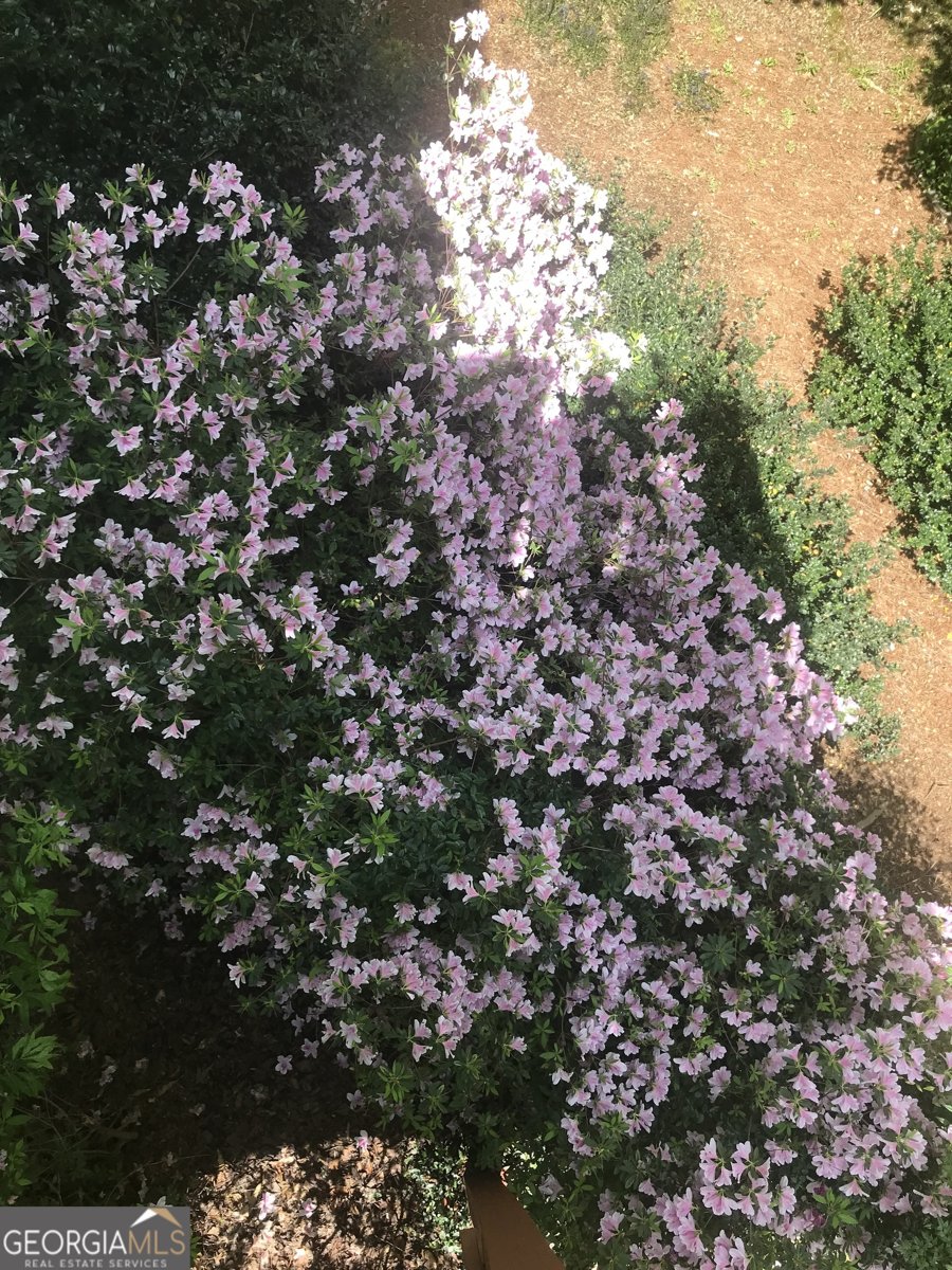 245 Ridge Point Court Johns Creek - Photo 44