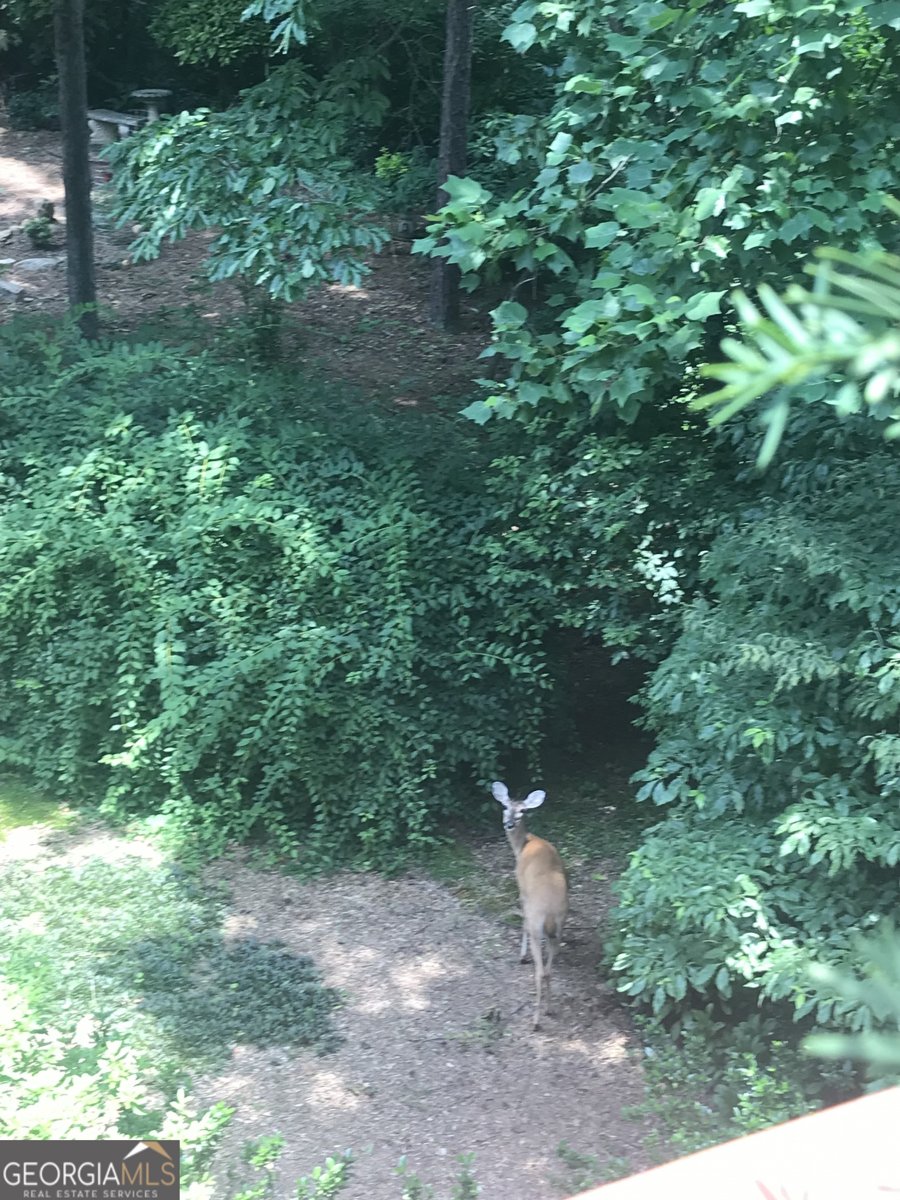 245 Ridge Point Court Johns Creek - Photo 46