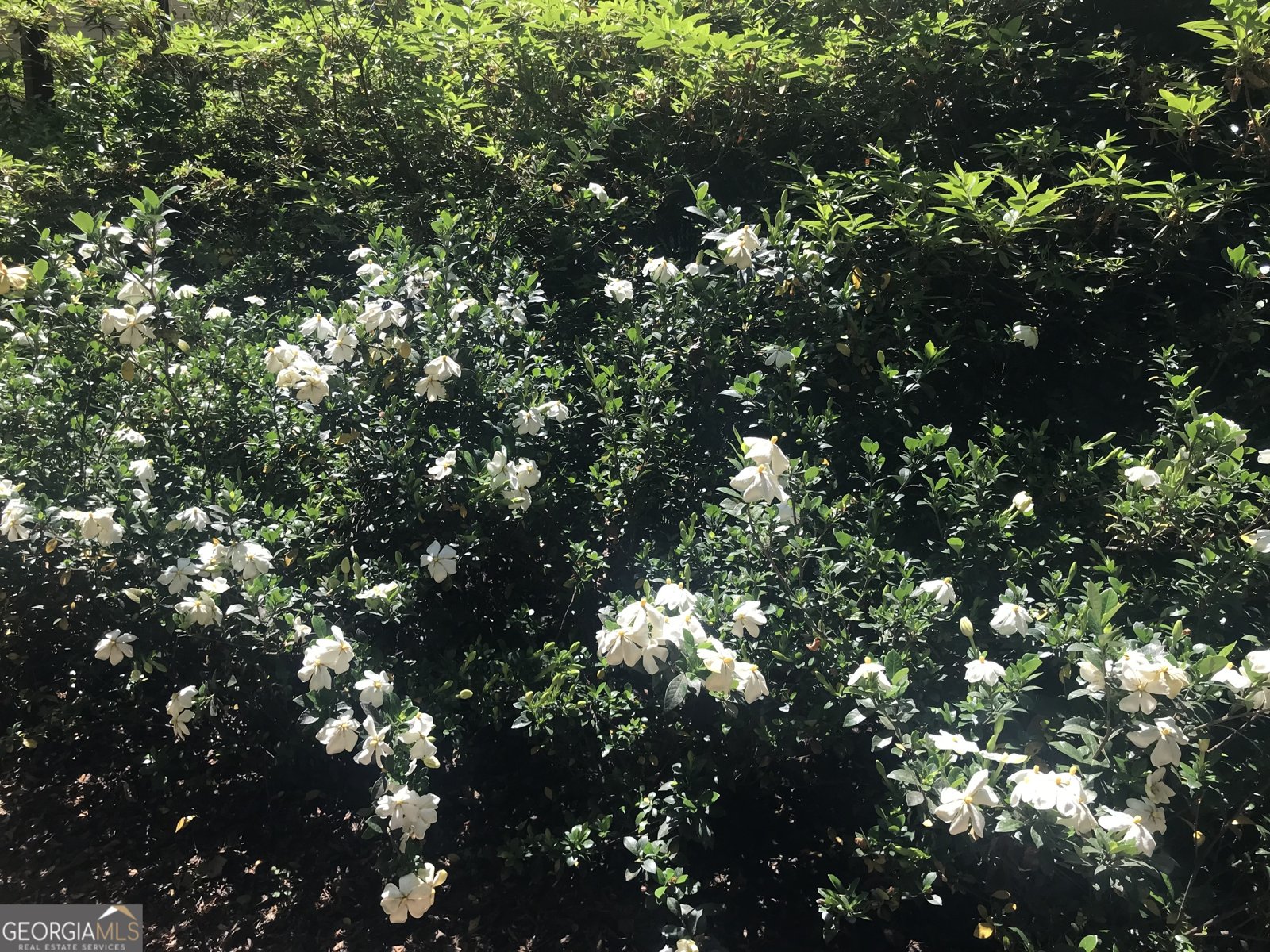 245 Ridge Point Court Johns Creek - Photo 47