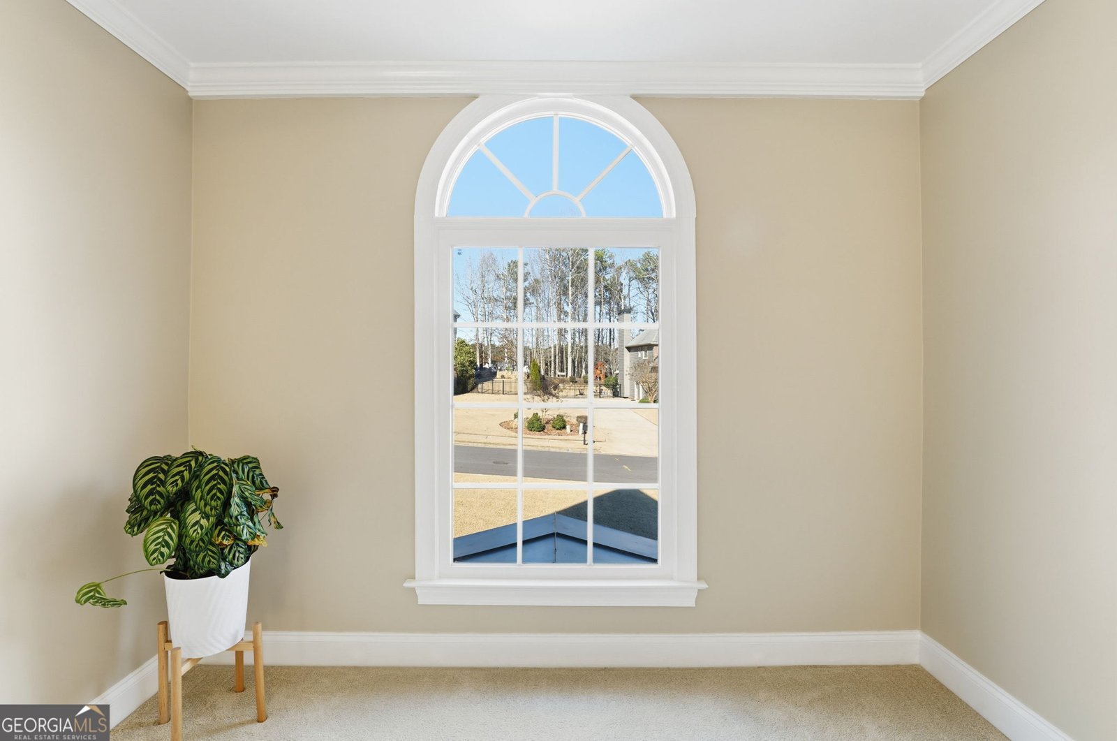 718 Settlers Crossing Canton - Photo 38