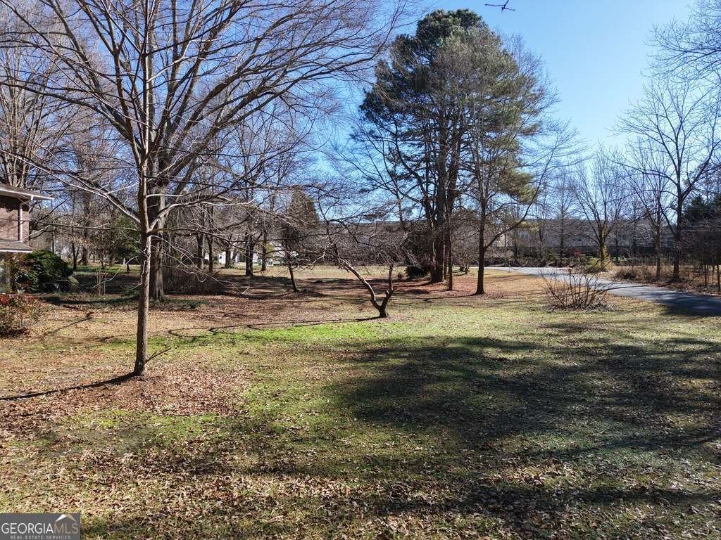 3252 Trickum Road Woodstock - Photo 36