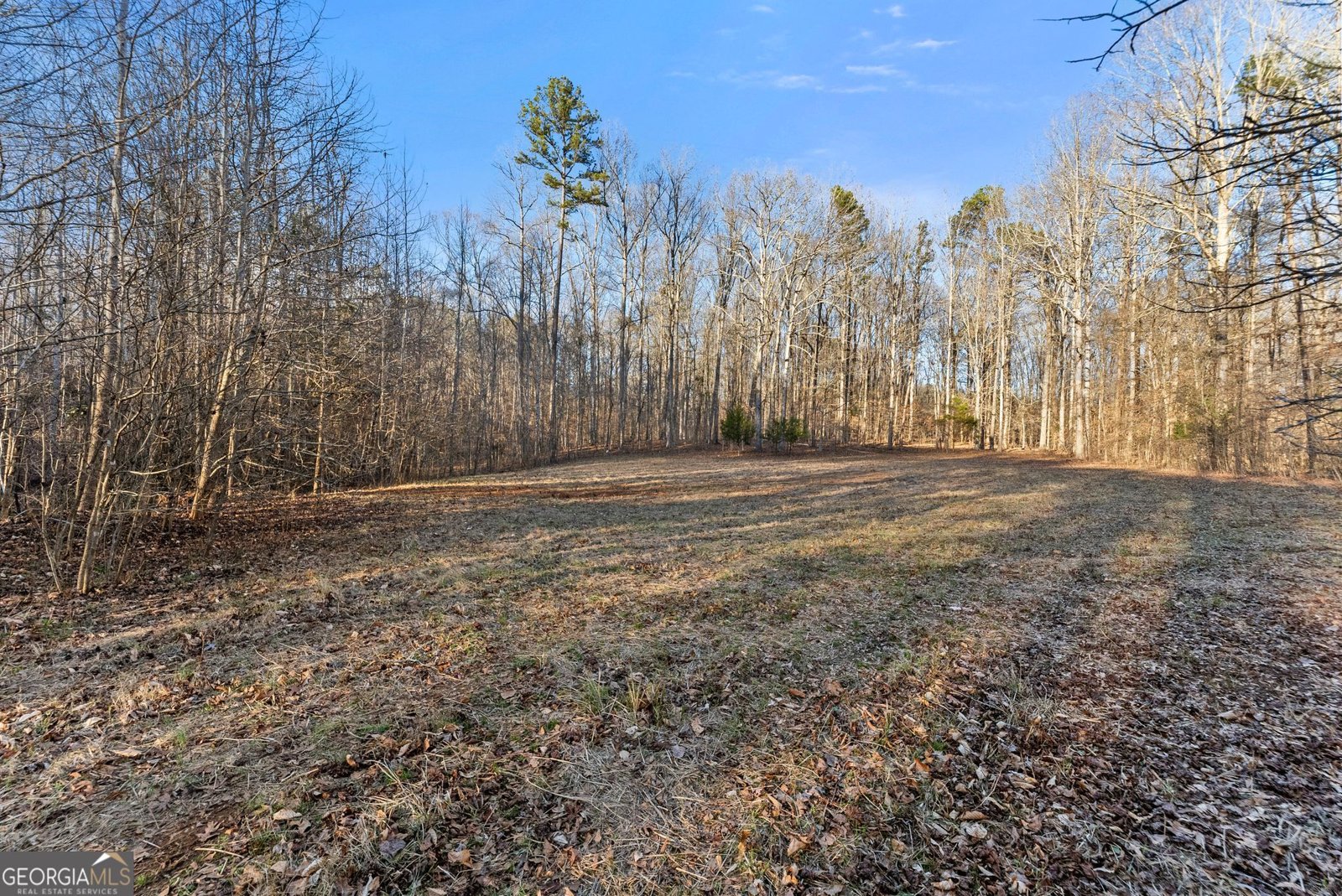 945 Hunter Road Jefferson - Photo 62