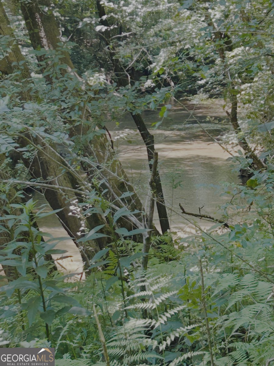 4542 Hall Road Gainesville - Photo 11