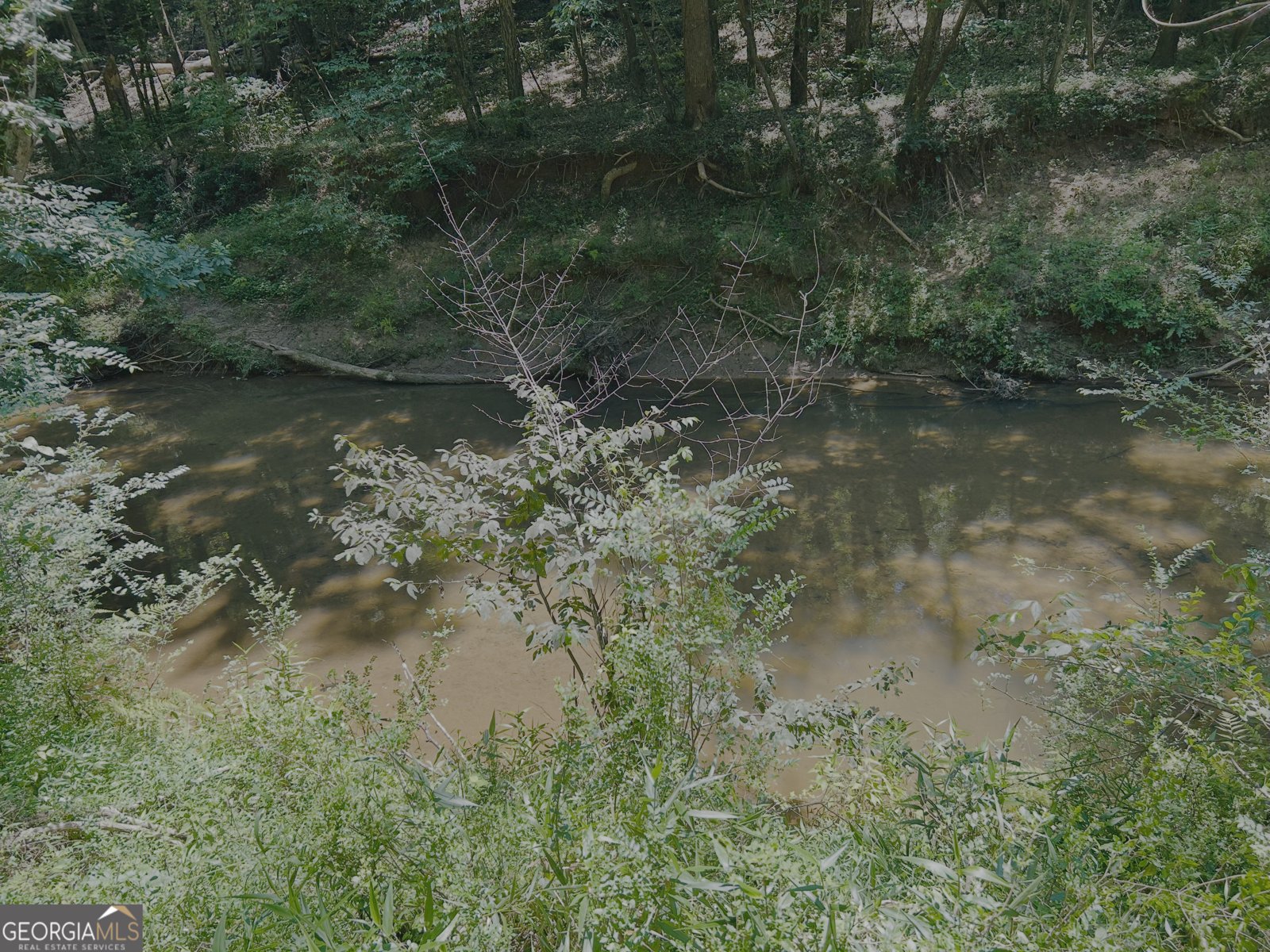 4542 Hall Road Gainesville - Photo 13