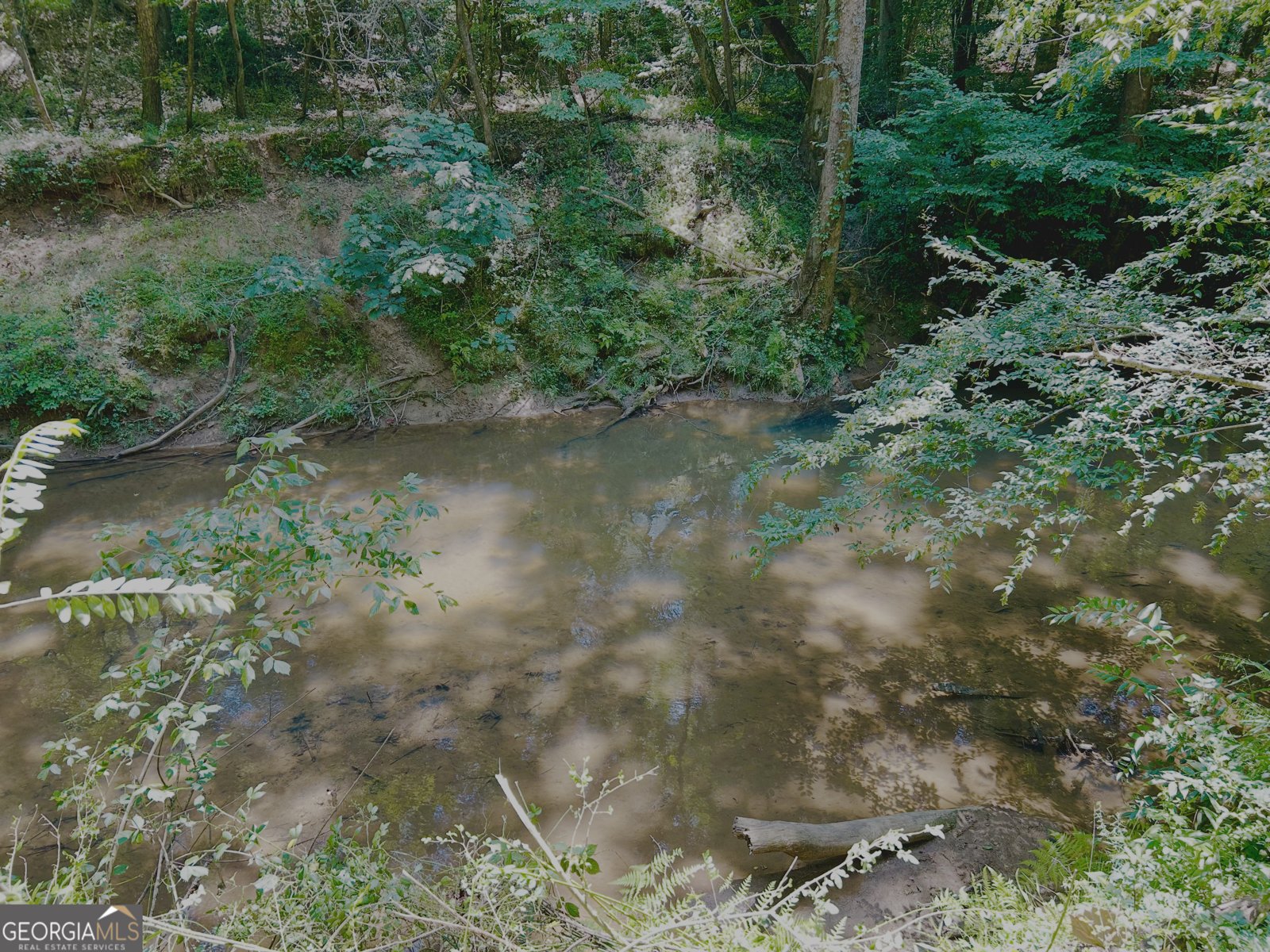 4542 Hall Road Gainesville - Photo 14