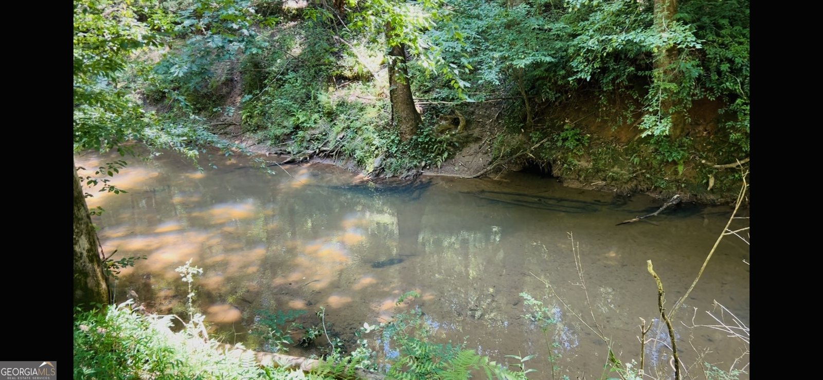 4542 Hall Road Gainesville - Photo 8