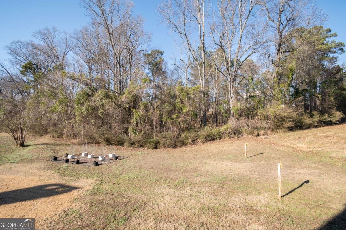 132 Putters Drive Athens - Photo 35