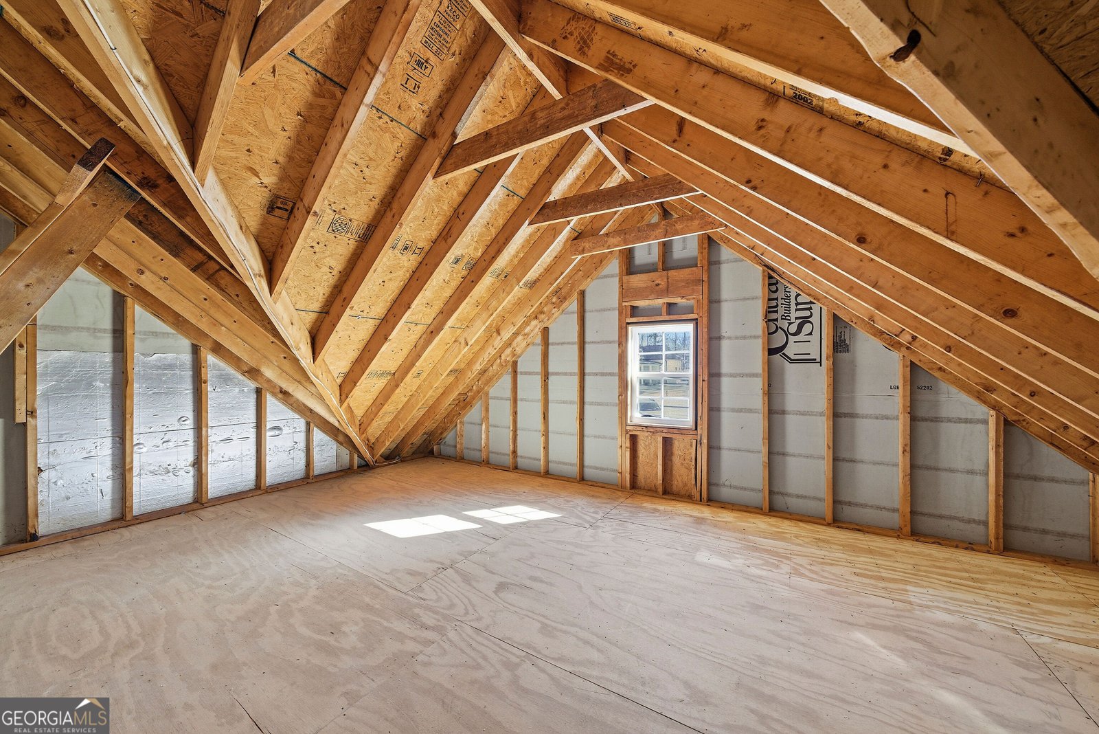 300 Emerald Way Senoia - Photo 30