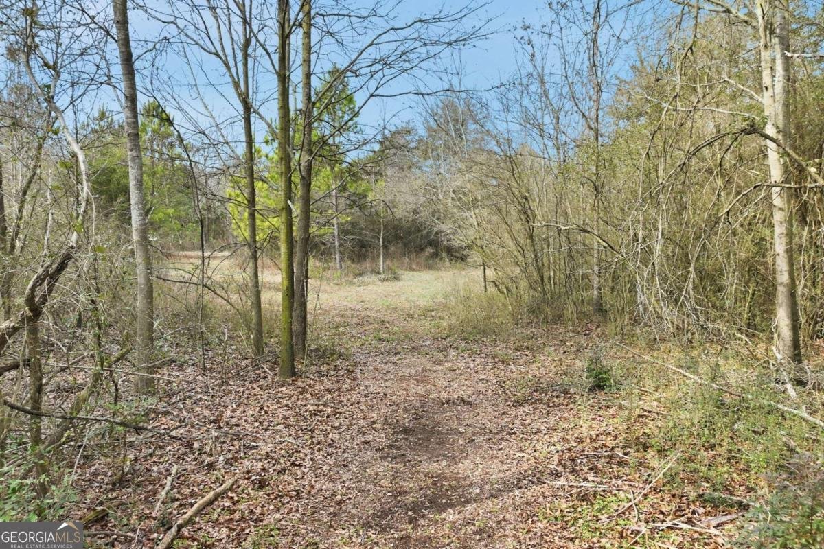 760 Fortson Compton Road Comer - Photo 53