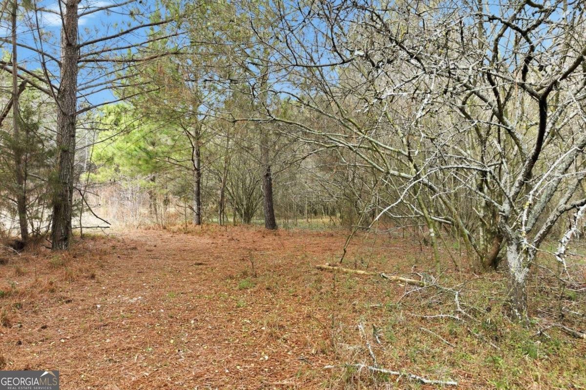 760 Fortson Compton Road Comer - Photo 54