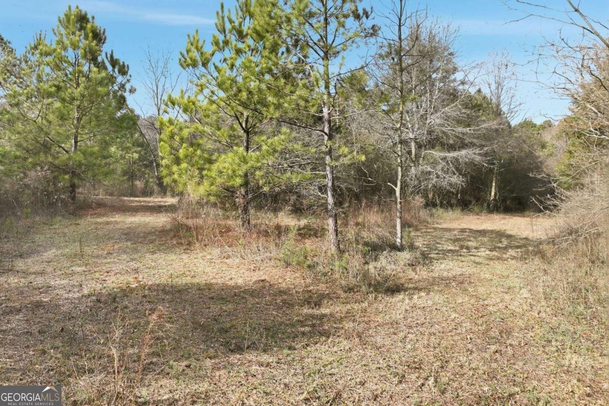 760 Fortson Compton Road Comer - Photo 55