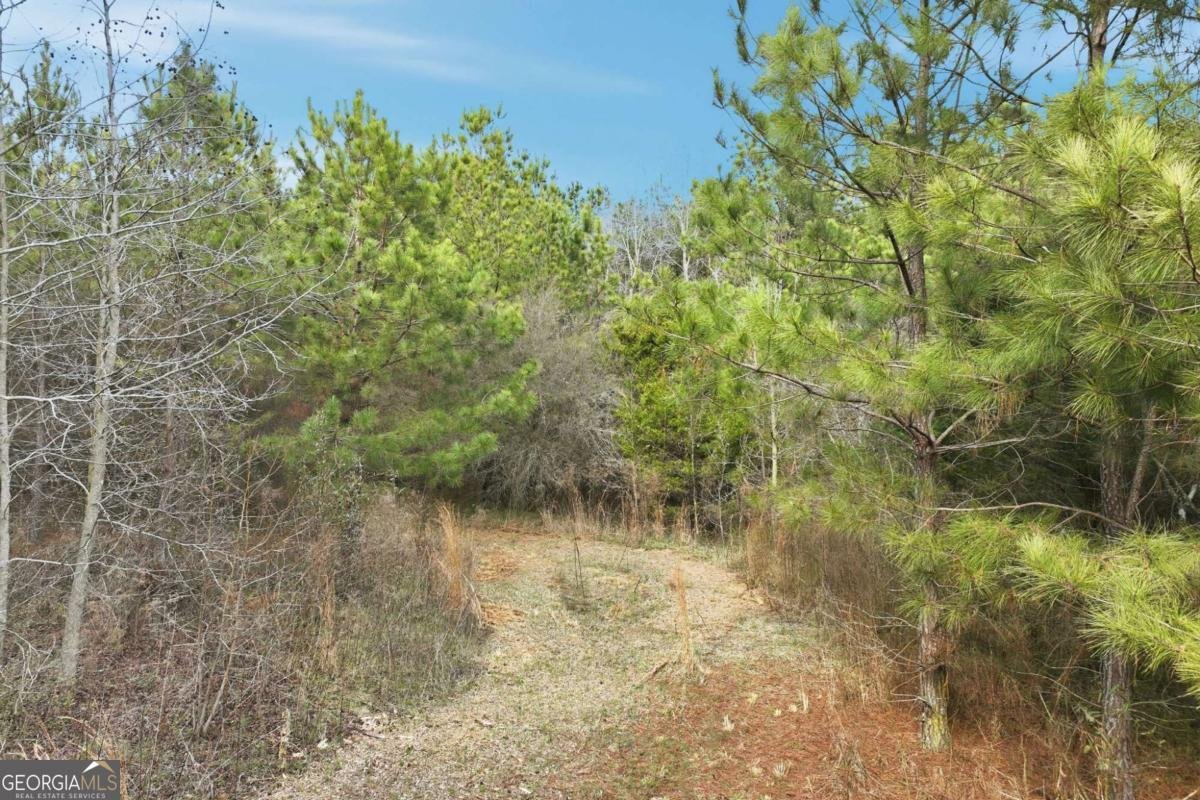 760 Fortson Compton Road Comer - Photo 56