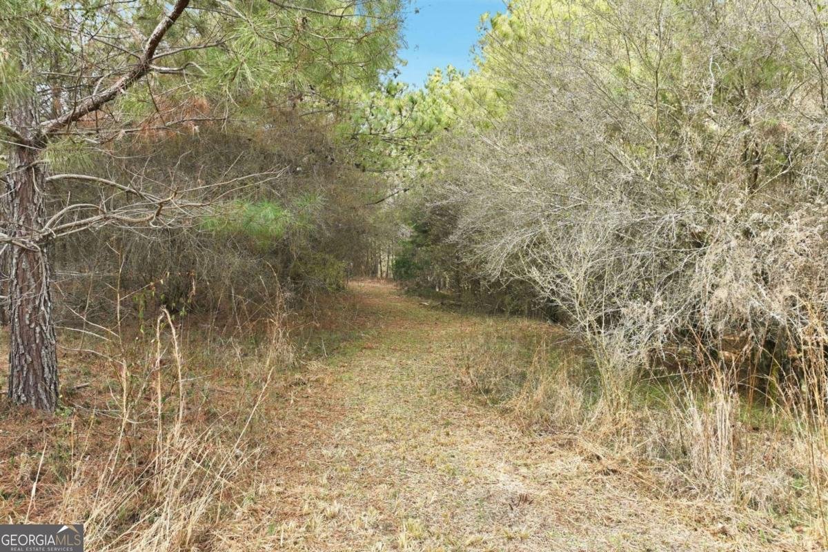 760 Fortson Compton Road Comer - Photo 57