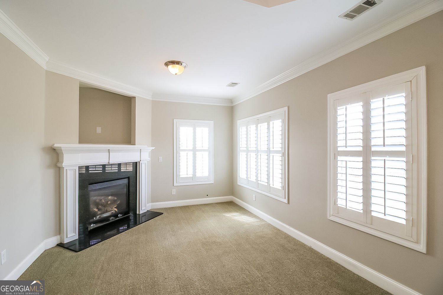 316 Thistlewood Run McDonough - Photo 14