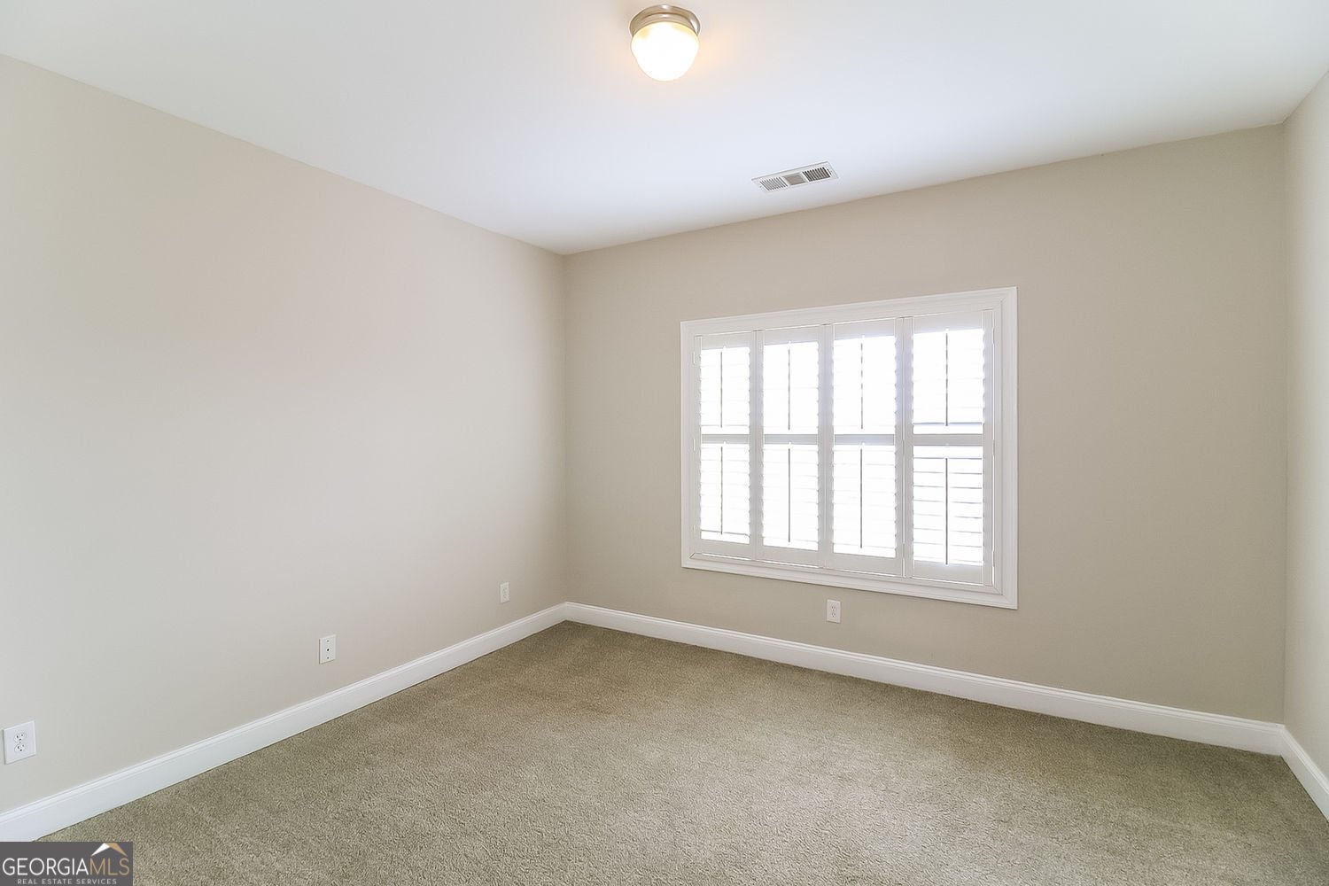 316 Thistlewood Run McDonough - Photo 20