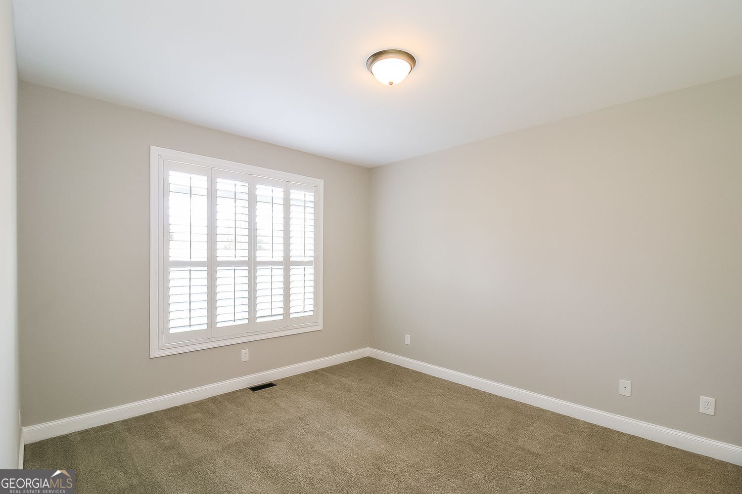 316 Thistlewood Run McDonough - Photo 22