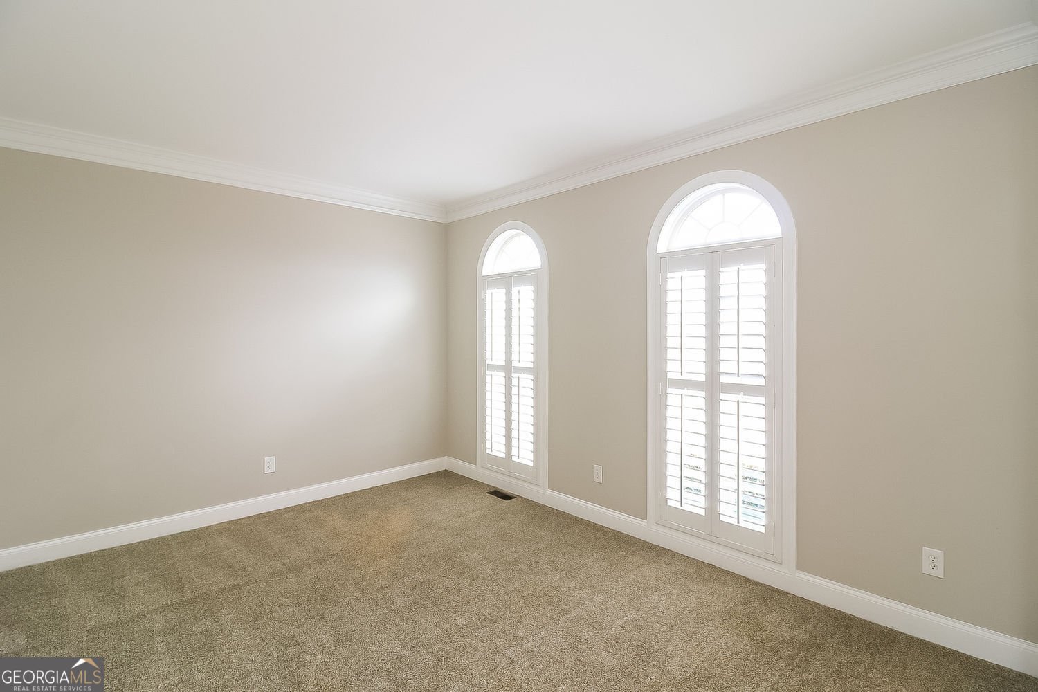 316 Thistlewood Run McDonough - Photo 7