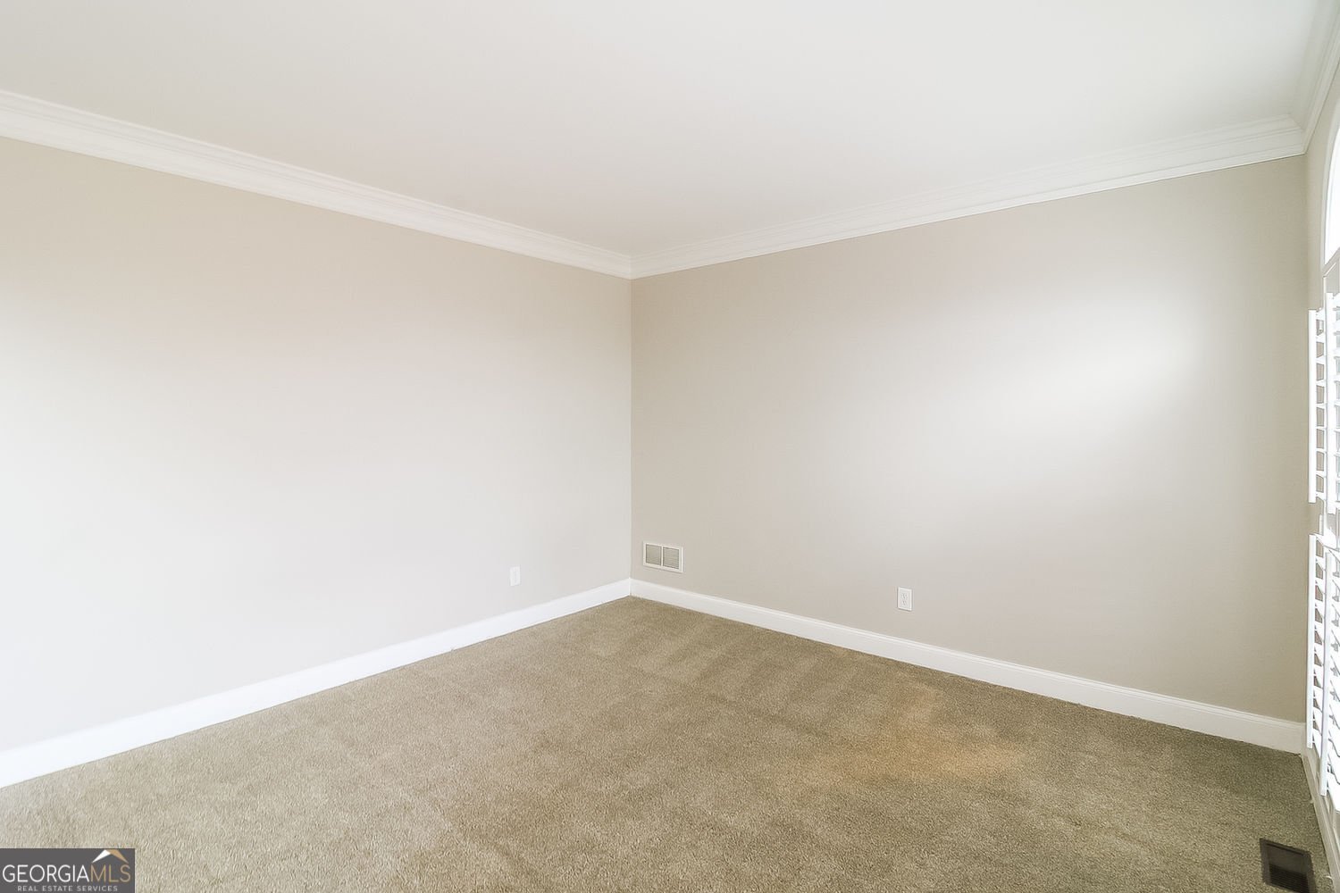 316 Thistlewood Run McDonough - Photo 8