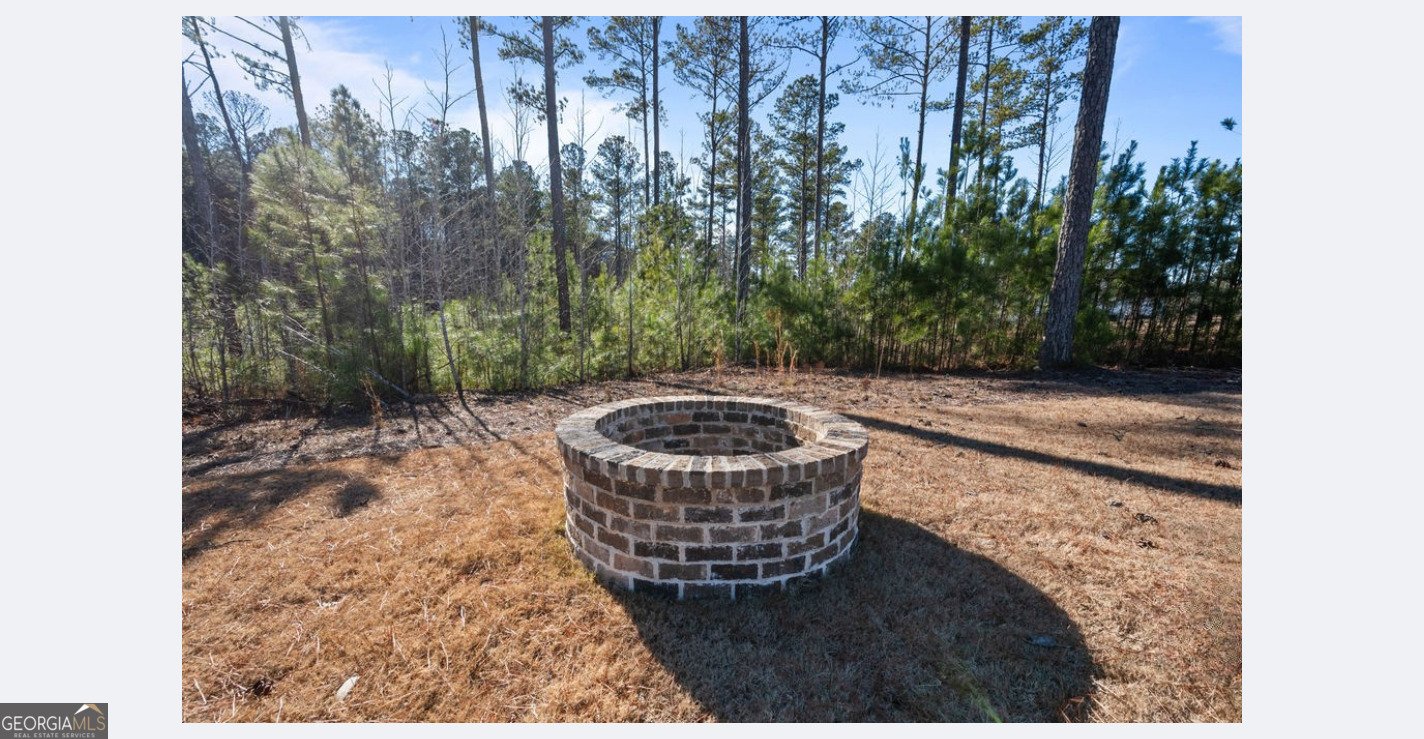 326 Atlantica Drive Newnan - Photo 11