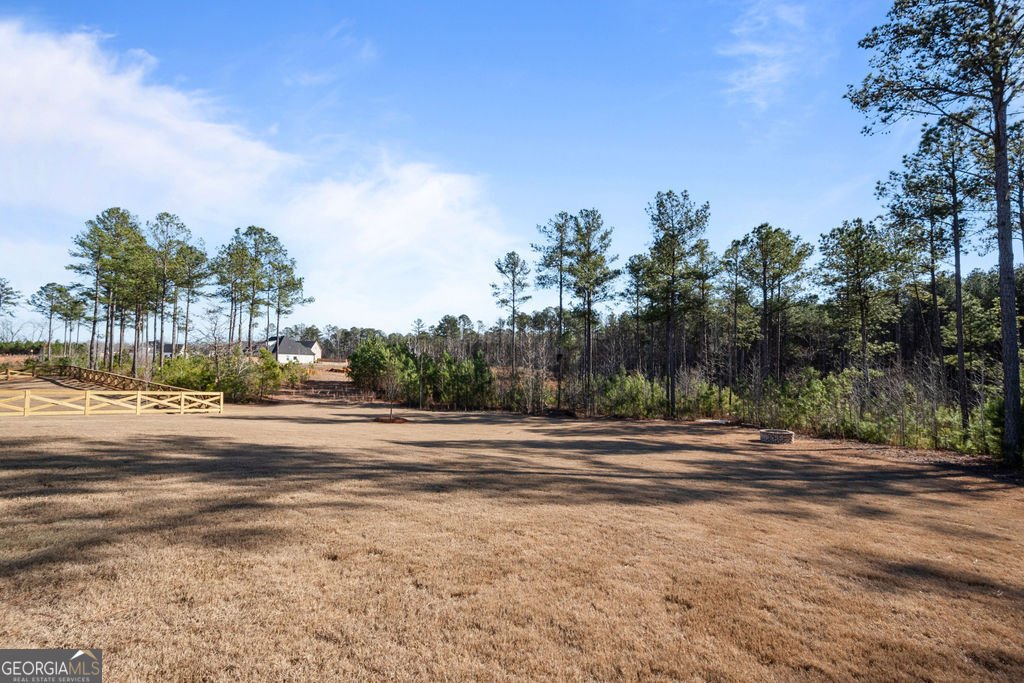 326 Atlantica Drive Newnan - Photo 12