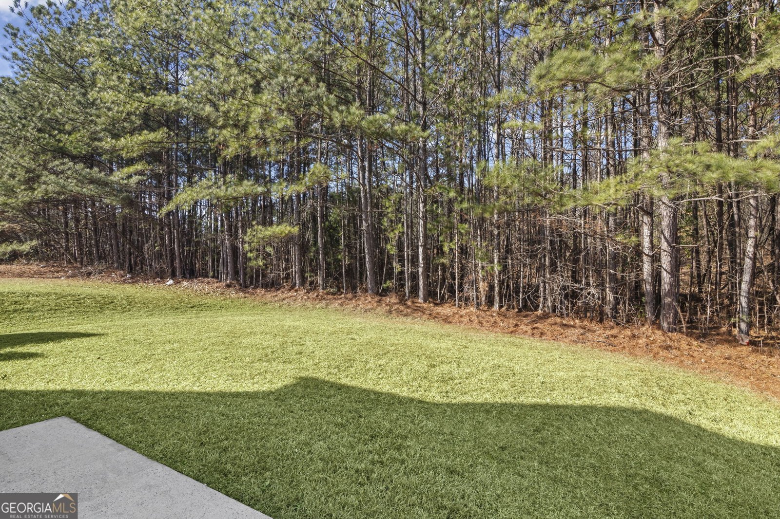 4418 Gladewood Run Union City - Photo 34