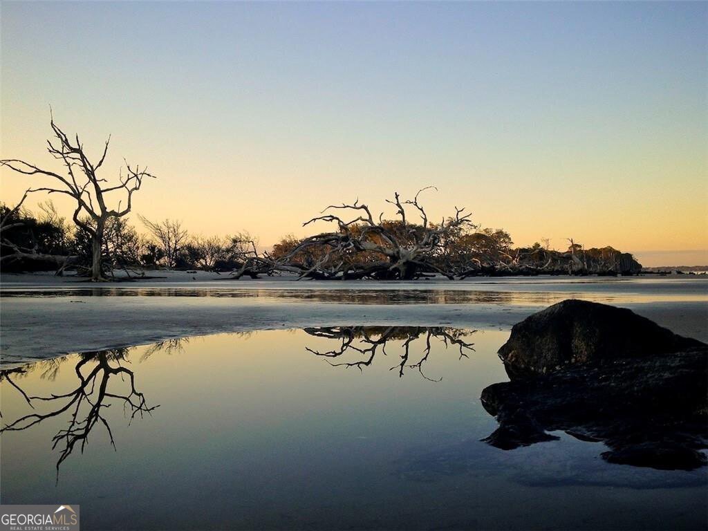 172 Turtle Track Lane Jekyll Island - Photo 48
