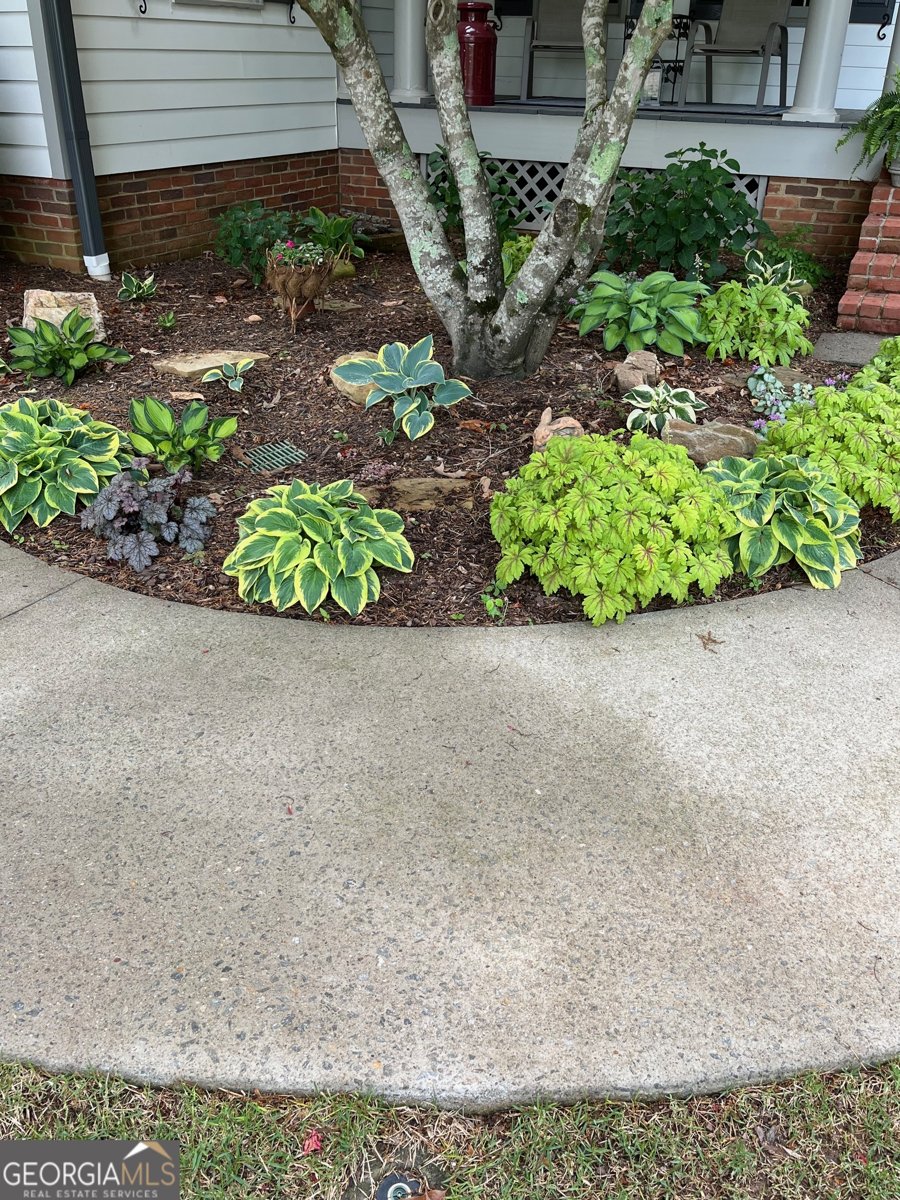 4475 Tall Hickory Trail Gainesville - Photo 64