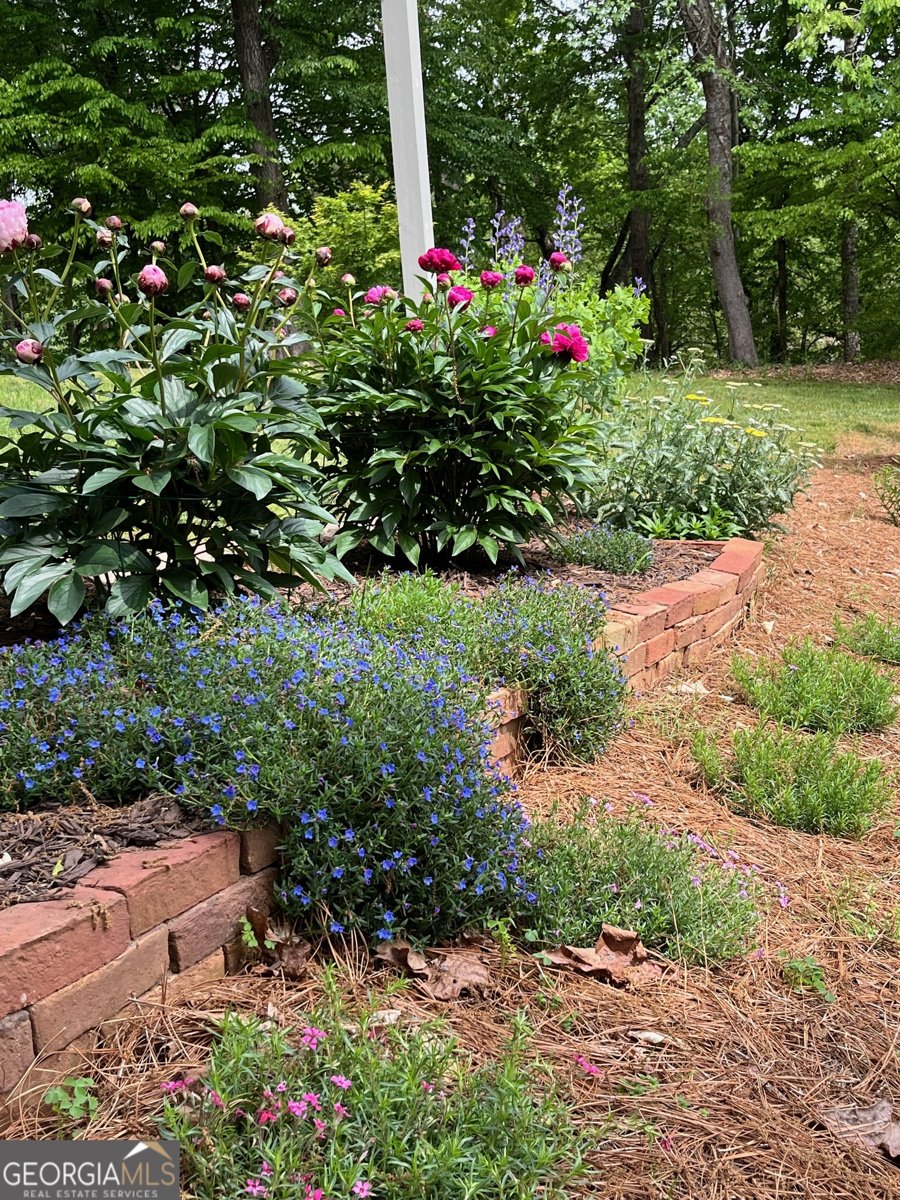 4475 Tall Hickory Trail Gainesville - Photo 65