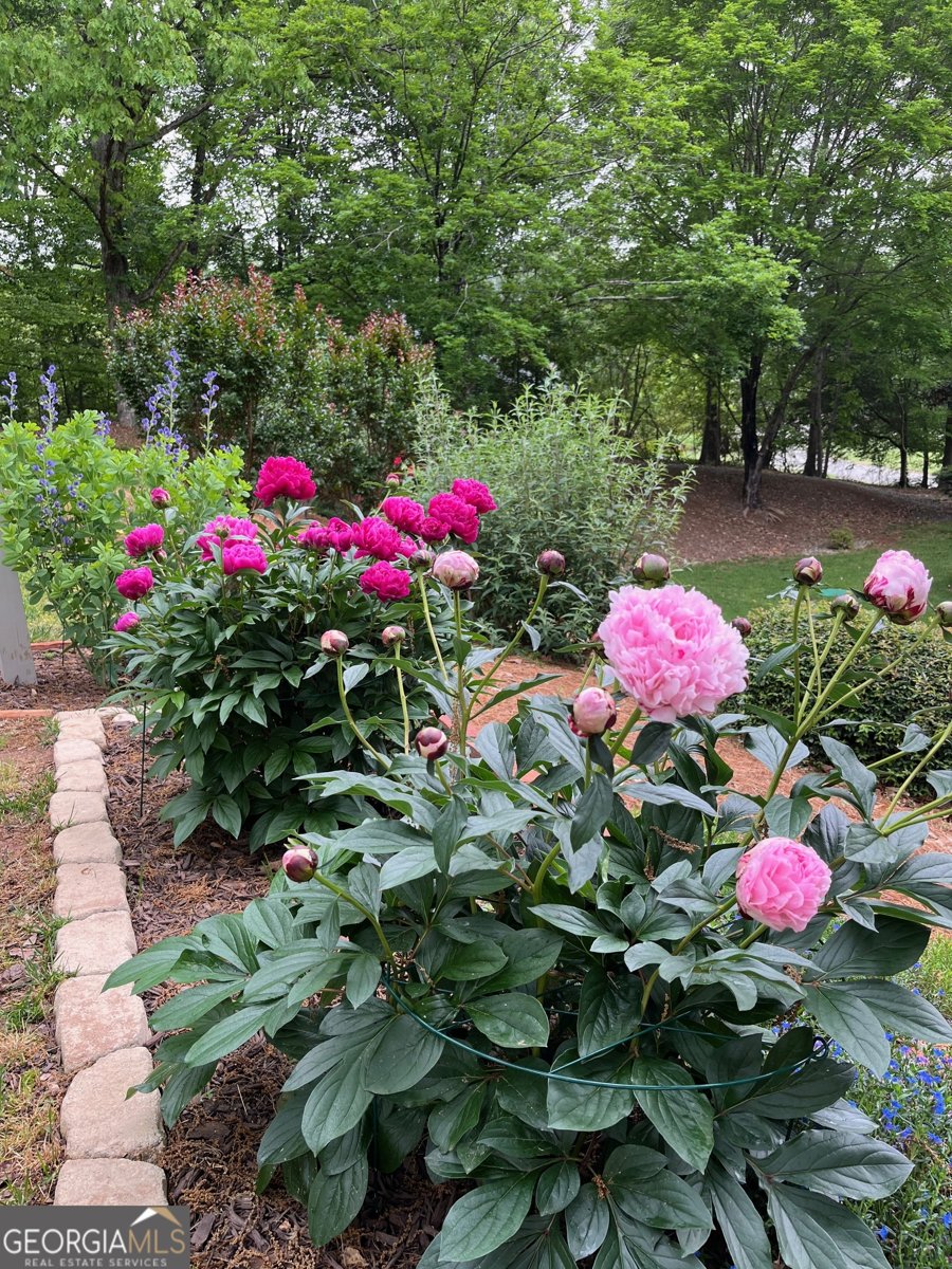 4475 Tall Hickory Trail Gainesville - Photo 66