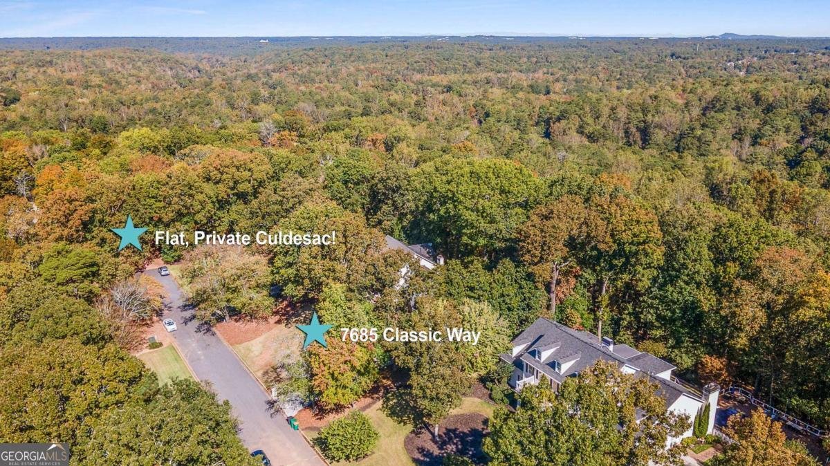 7685 Classic Way Atlanta - Photo 51