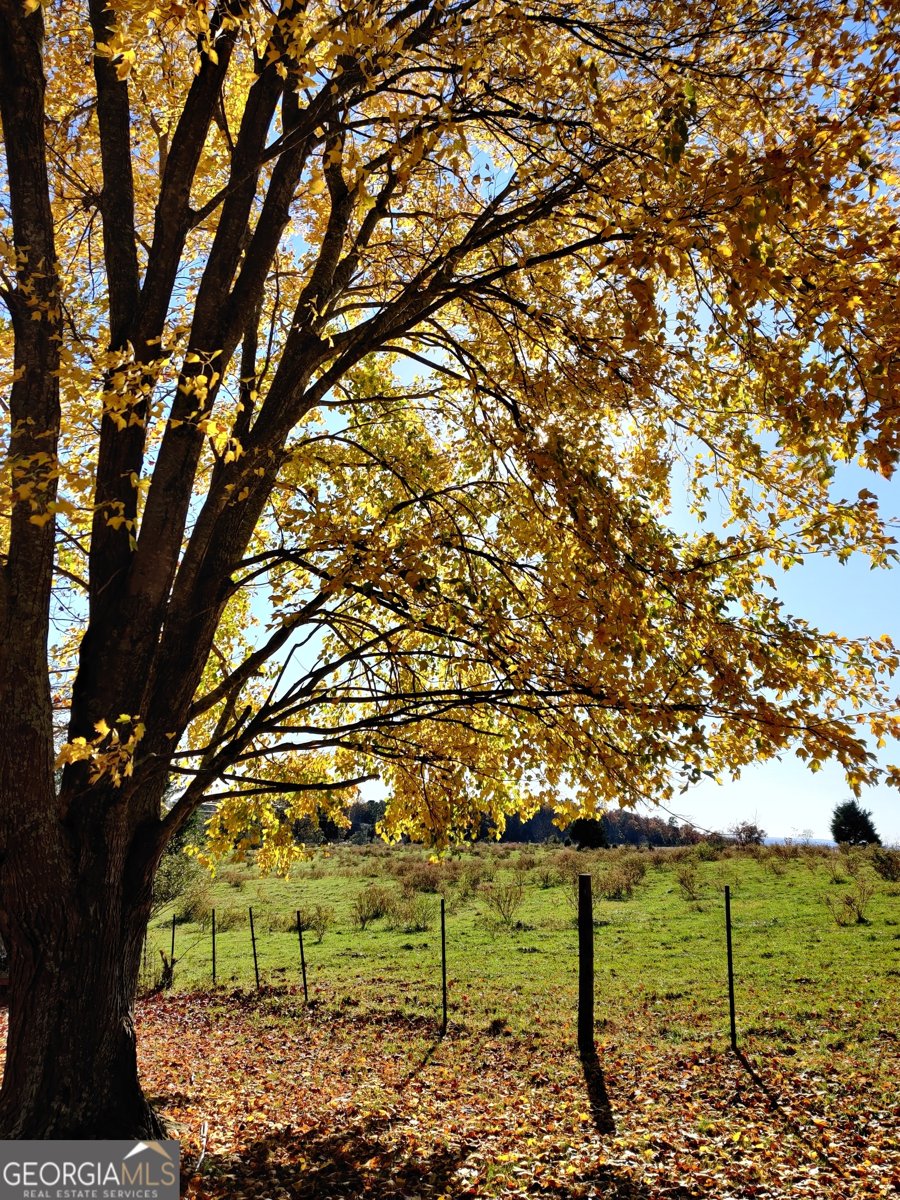 1419 County Road 480 Woodland - Photo 15