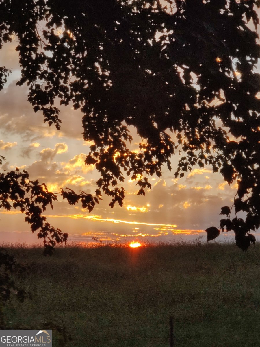 1419 County Road 480 Woodland - Photo 16