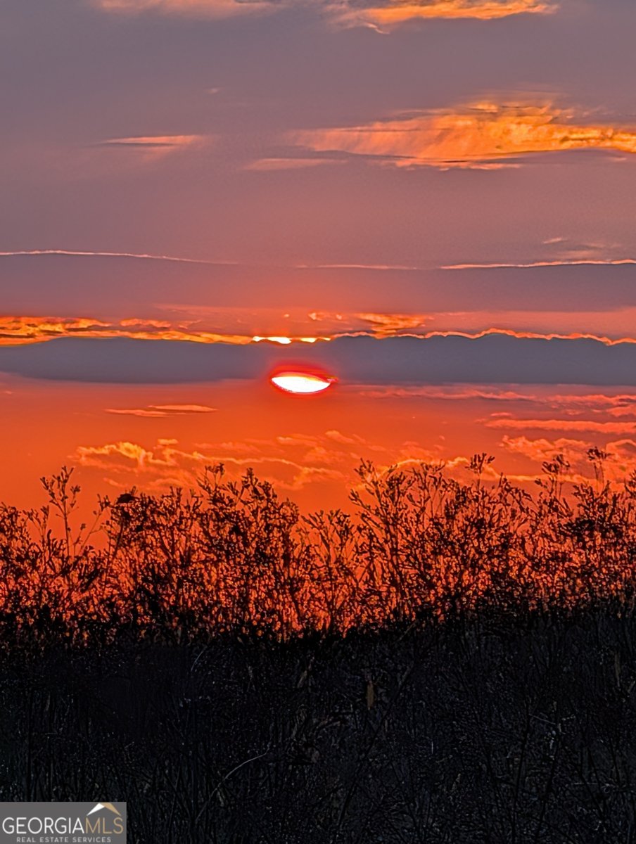 1419 County Road 480 Woodland - Photo 17