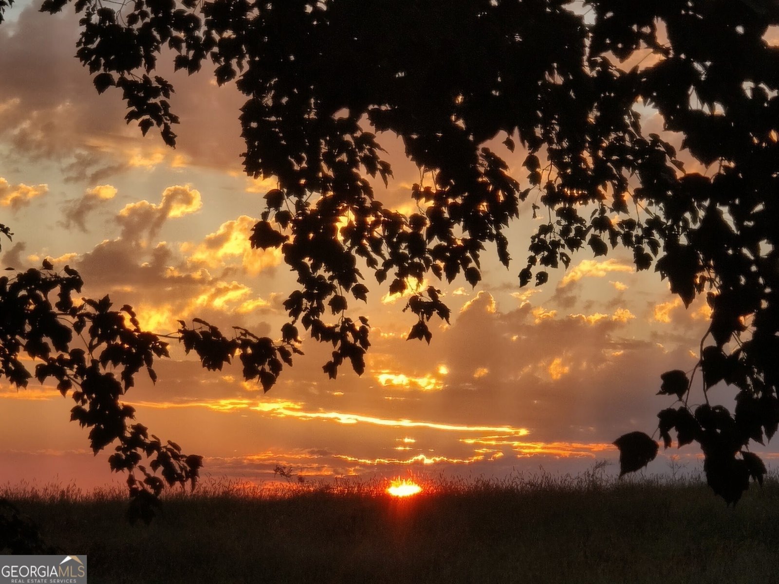 1419 County Road 480 Woodland - Photo 18