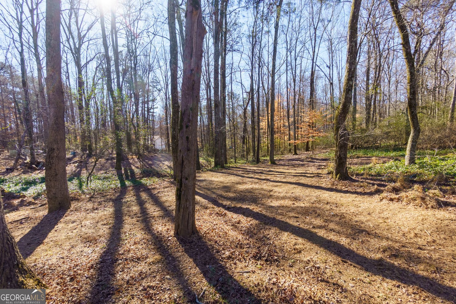 4799 Drew Road Alpharetta - Photo 41