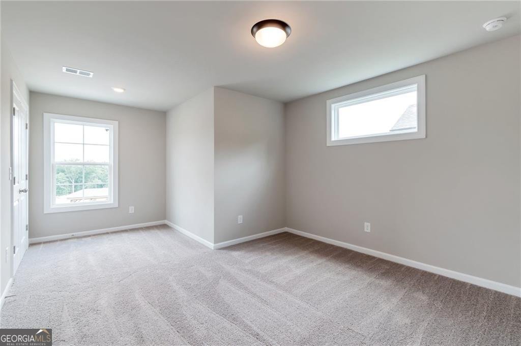 333 Willow Cove Canton - Photo 17