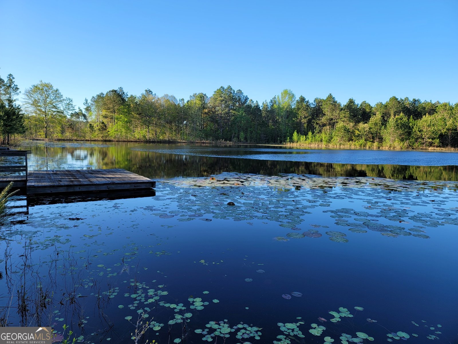 40 Drew Bennett Road Midville - Photo 27