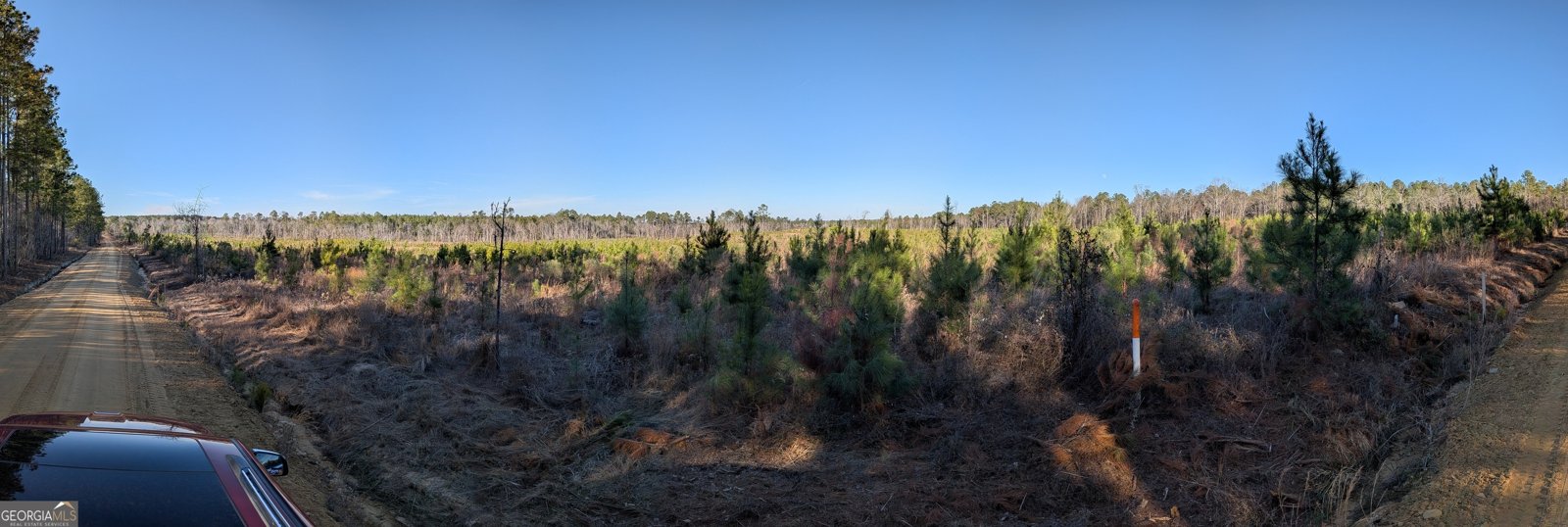 40 Drew Bennett Road Midville - Photo 28