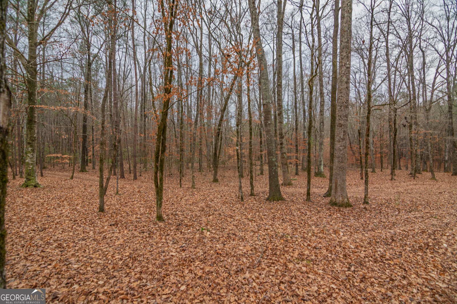 1578 Ga Highway 208 Hamilton - Photo 79